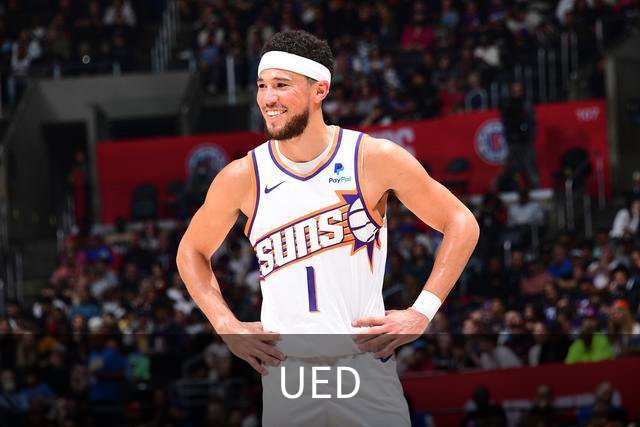 UED公司简介图片
